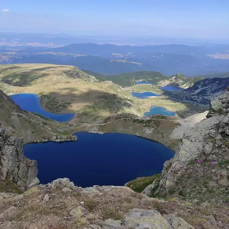 Бунгала Говедарци *