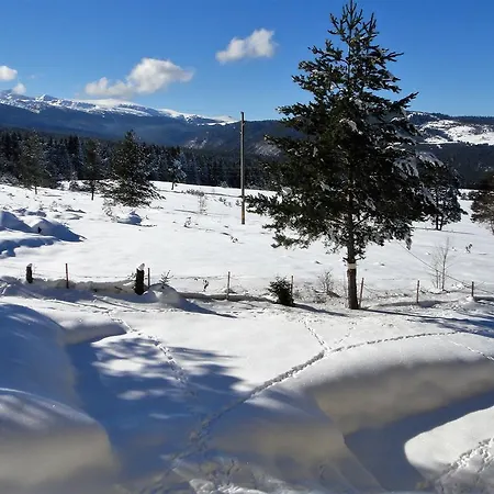 Бунгала Говедарци * Govedartsi