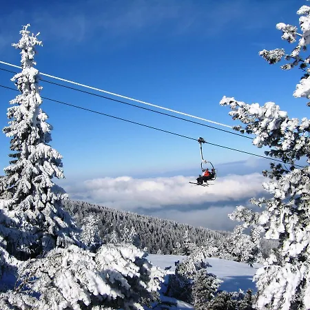 Chalet Бунгала Говедарци *