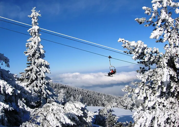 Alpehytte Бунгала Говедарци *